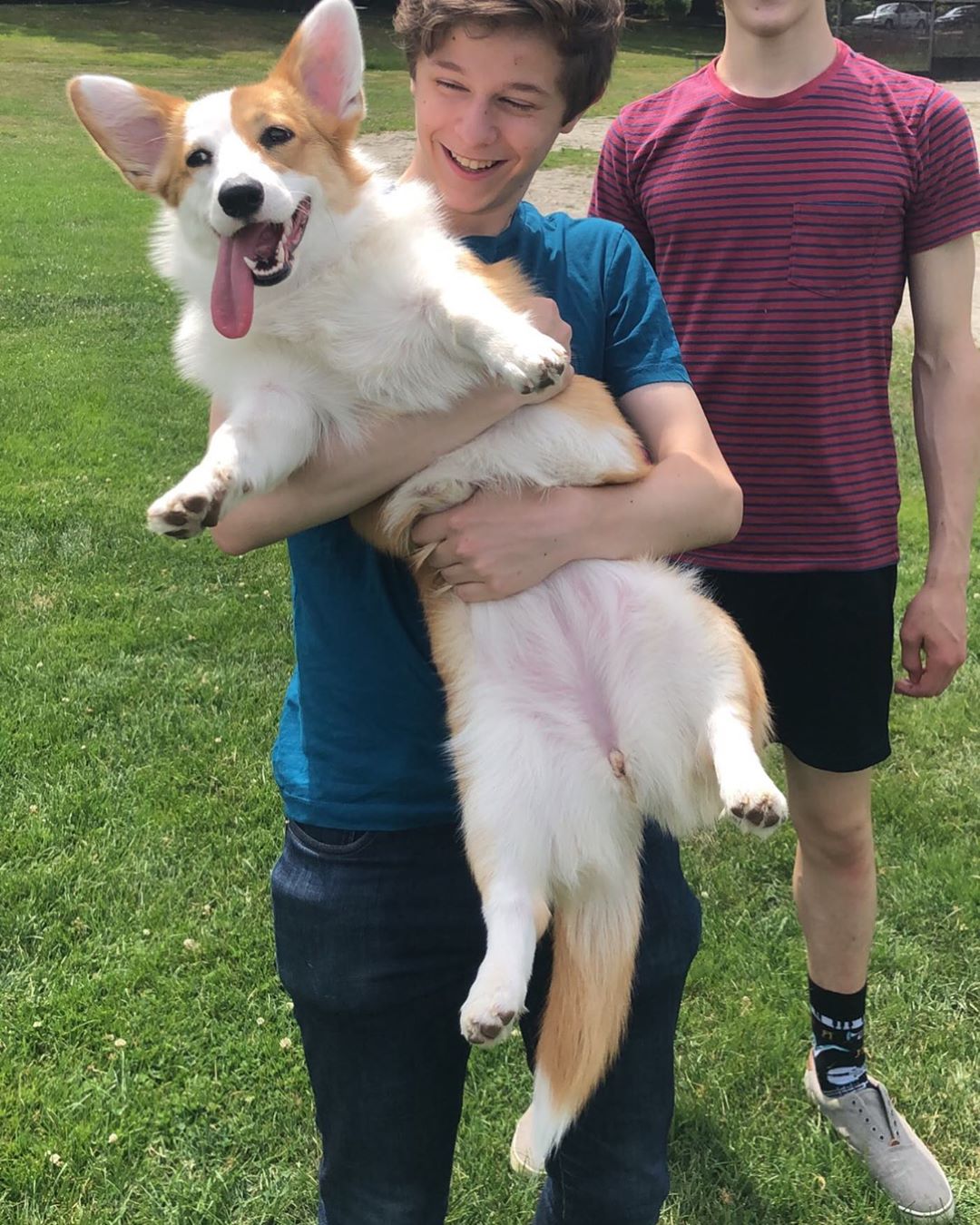 格雷厄姆·维奇尔的写真