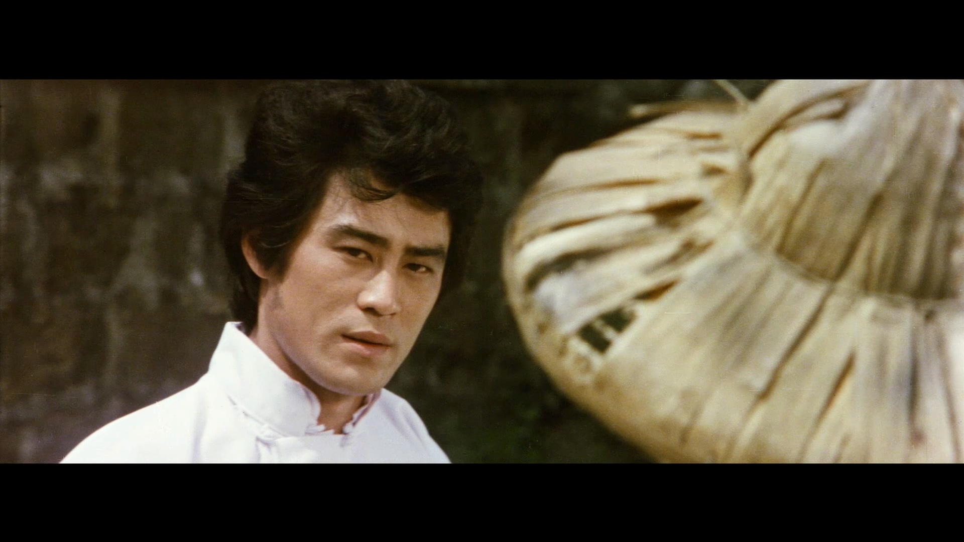 王冠雄的写真-《紅衣冷血金面人 / 鐵...