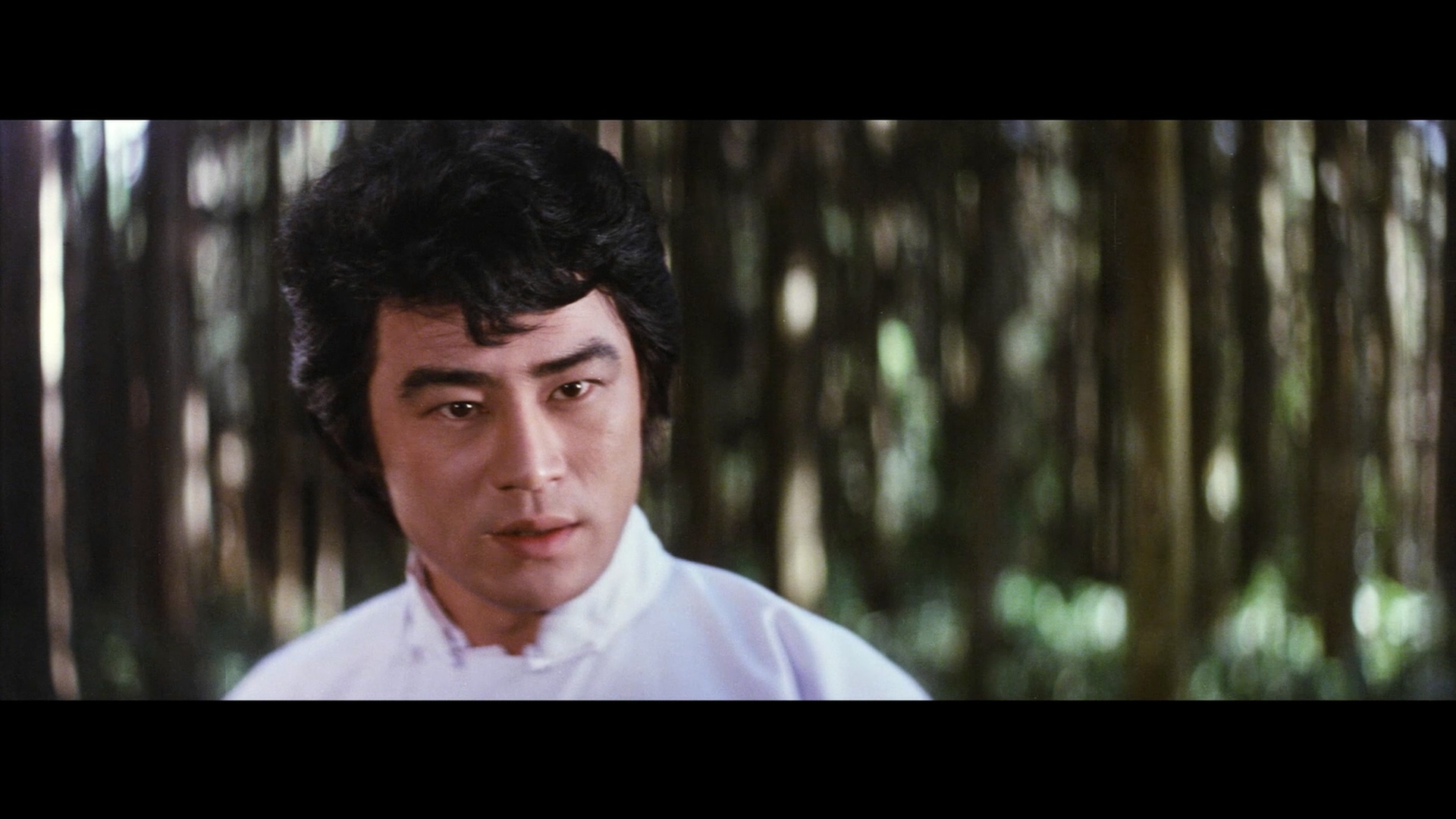 王冠雄的写真-《紅衣冷血金面人 / 鐵...