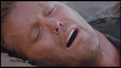 维林斯·豪塞尔的写真