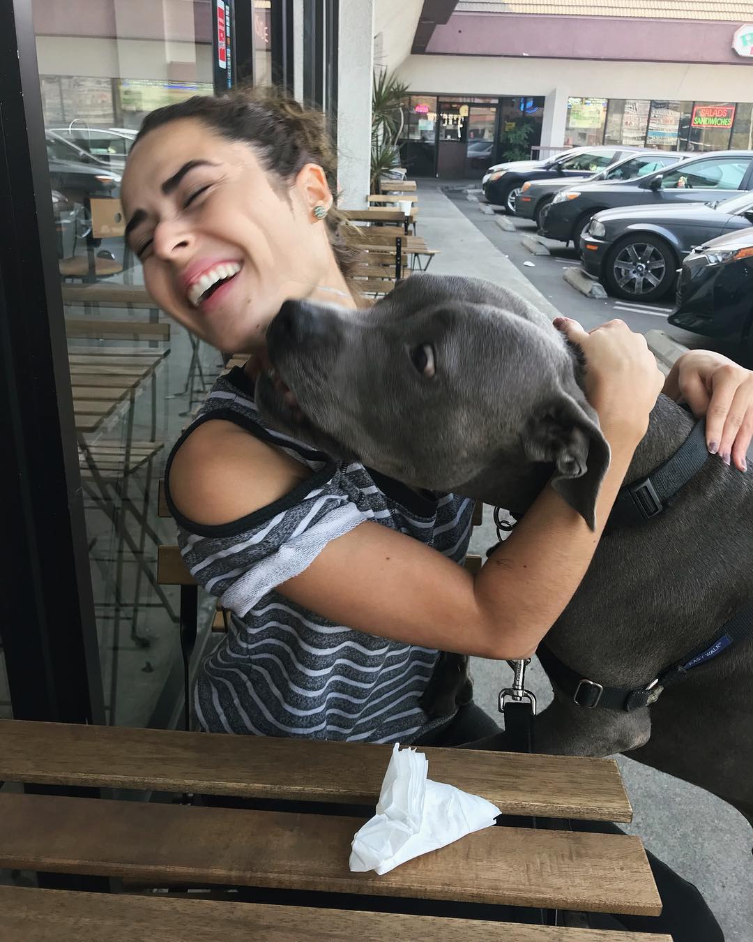 斯蒂芬妮·诺格拉斯的写真