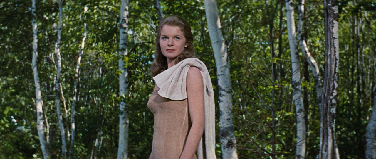 黛安·瓦西的写真