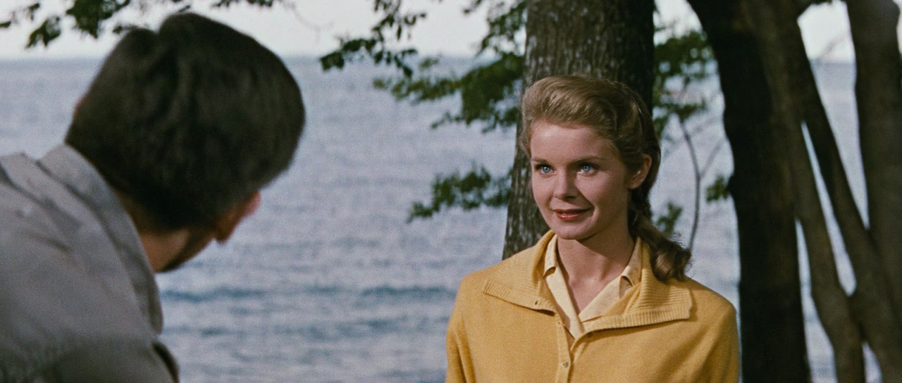 黛安·瓦西的写真