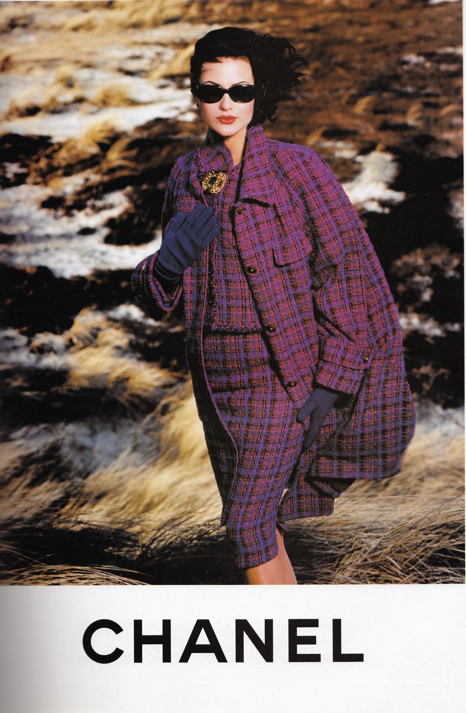 莎洛姆·哈罗的写真