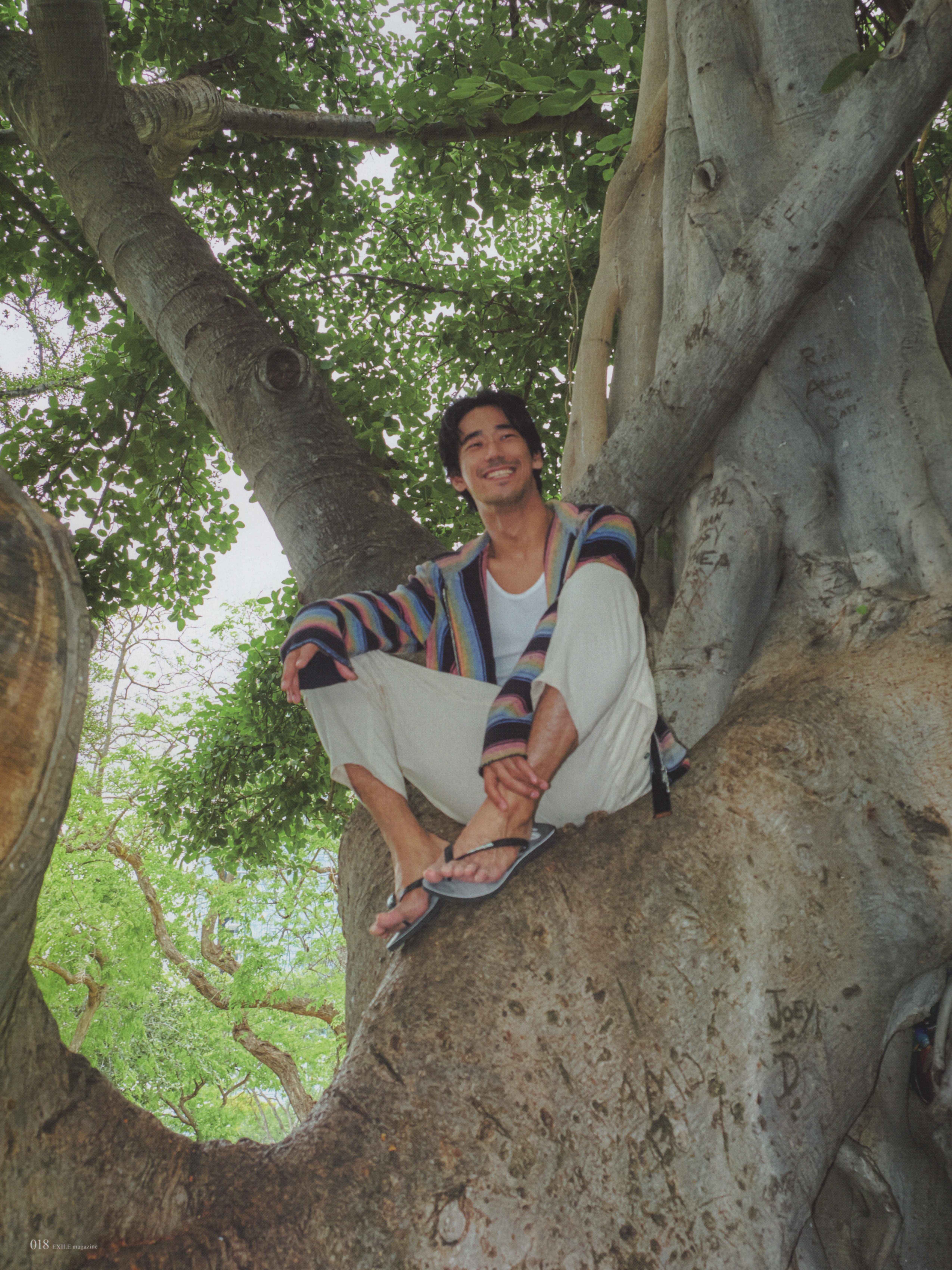 小林直己的写真