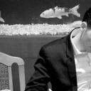 雅尼克·范德威尔德