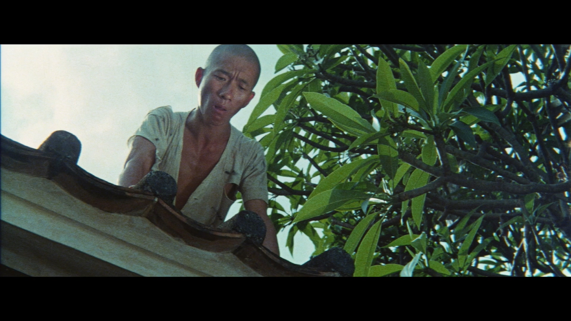 韩国材的写真-《四大殘拳 / 四大跛拳...