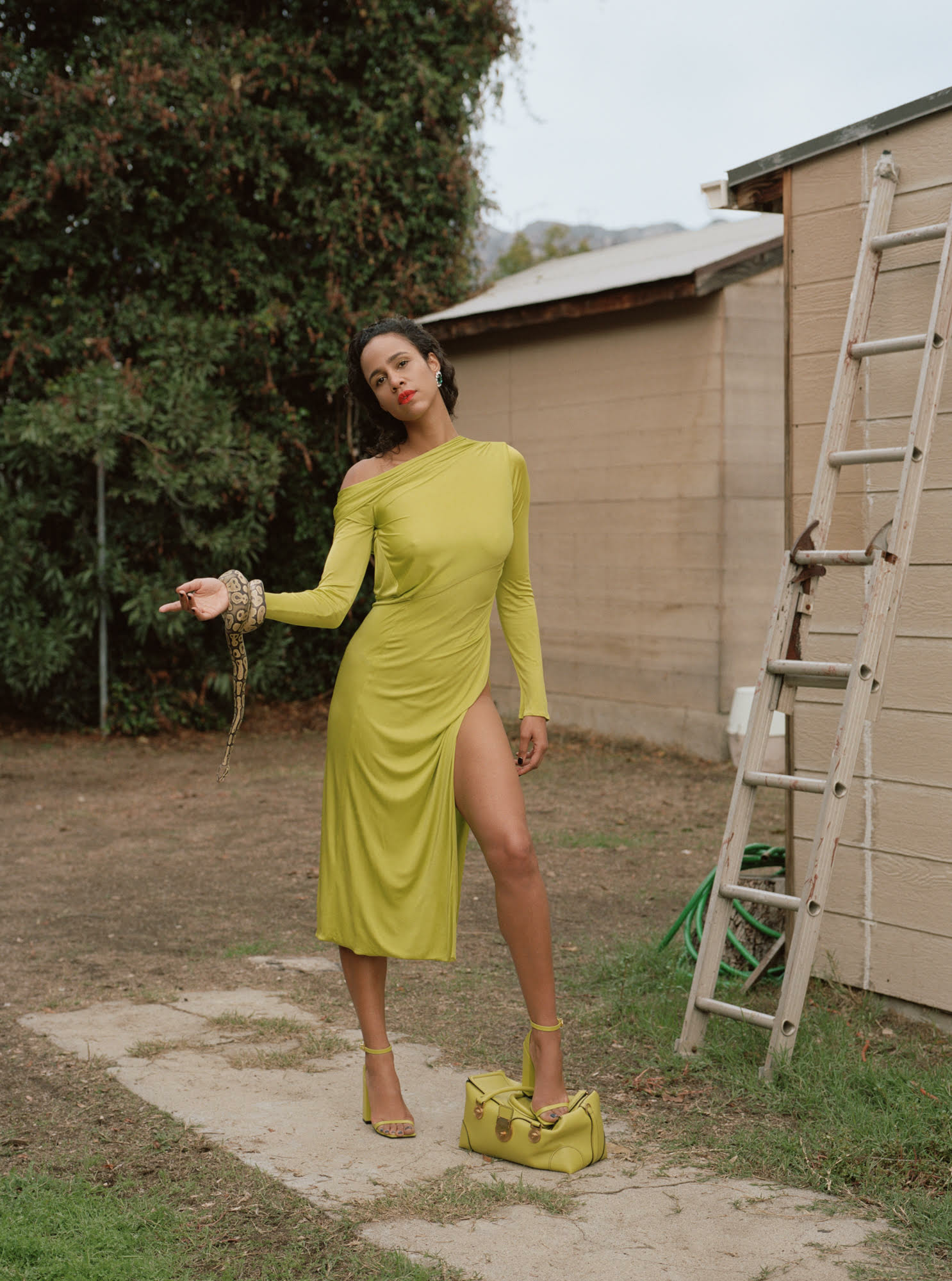 扎威·阿什顿的写真