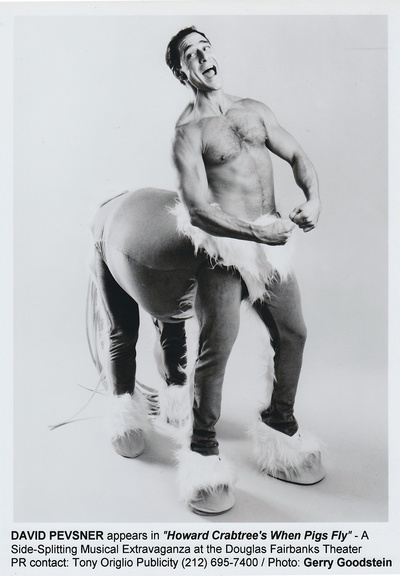 大卫·佩夫斯纳的写真