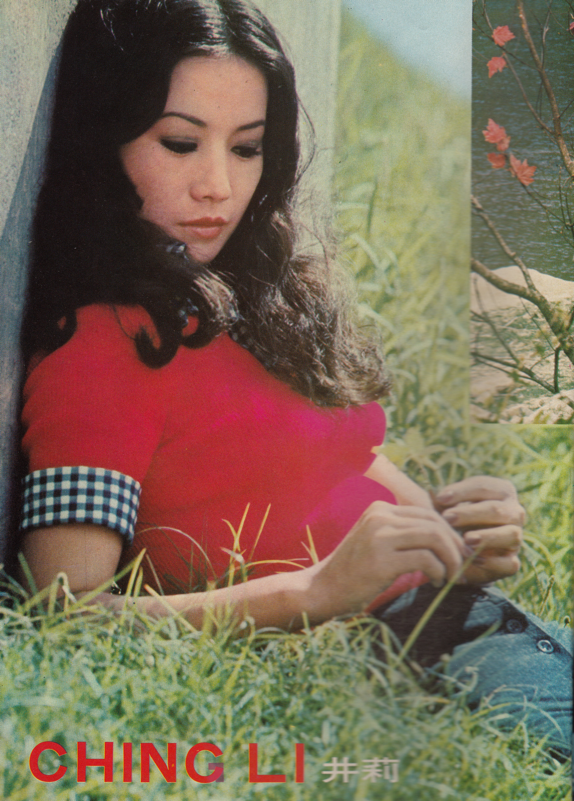 井莉的写真-1974年11月《南國電...