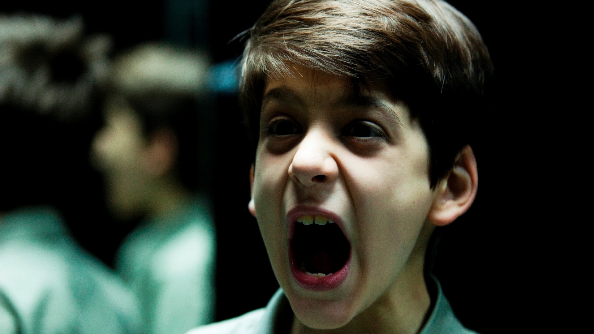 利诺·法希奥利的写真