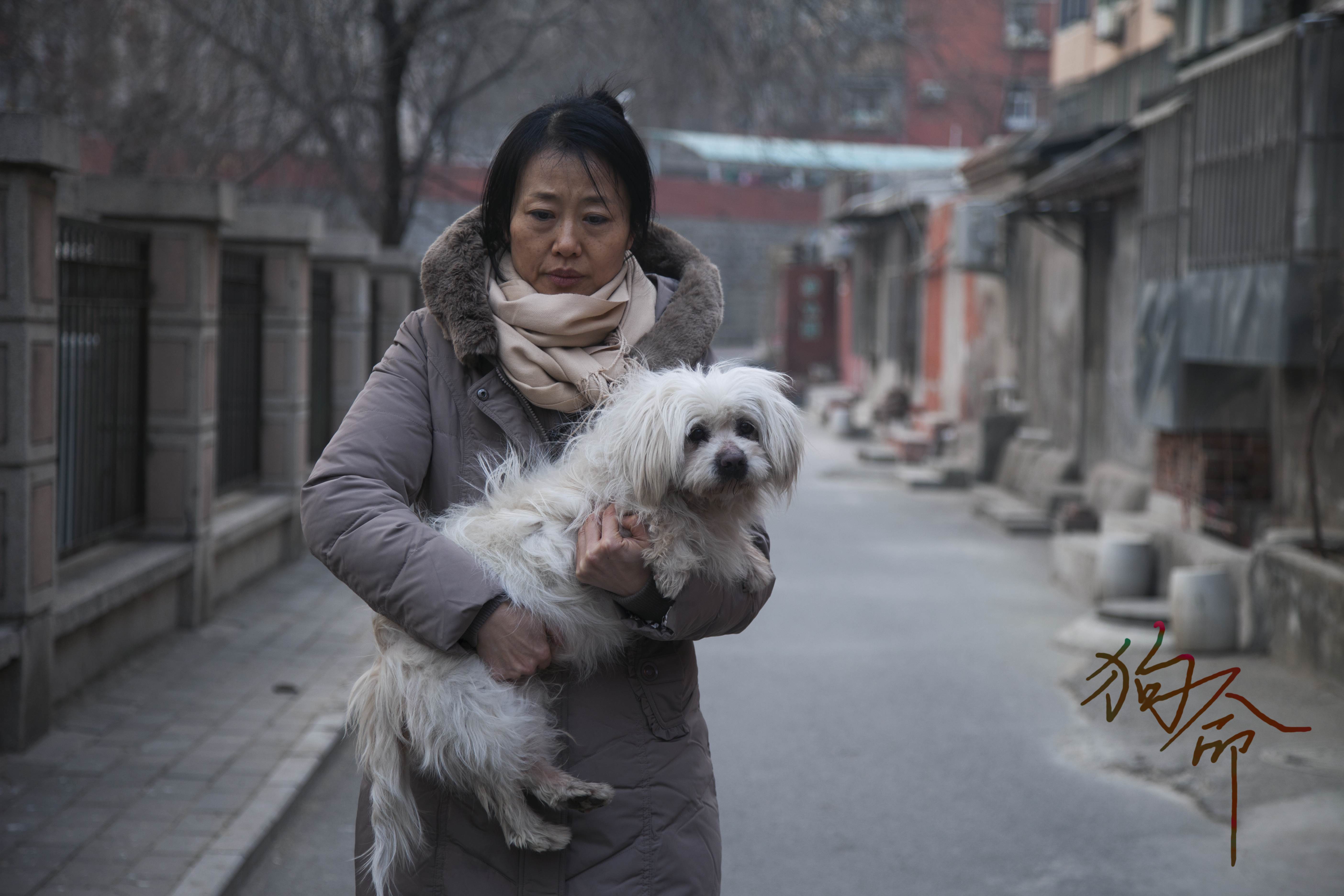 杨涛的写真-狗命剧照