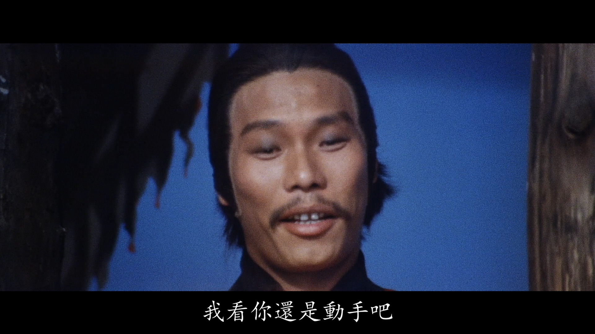 王青的写真-《少林英雄 / 俠骨英雄...