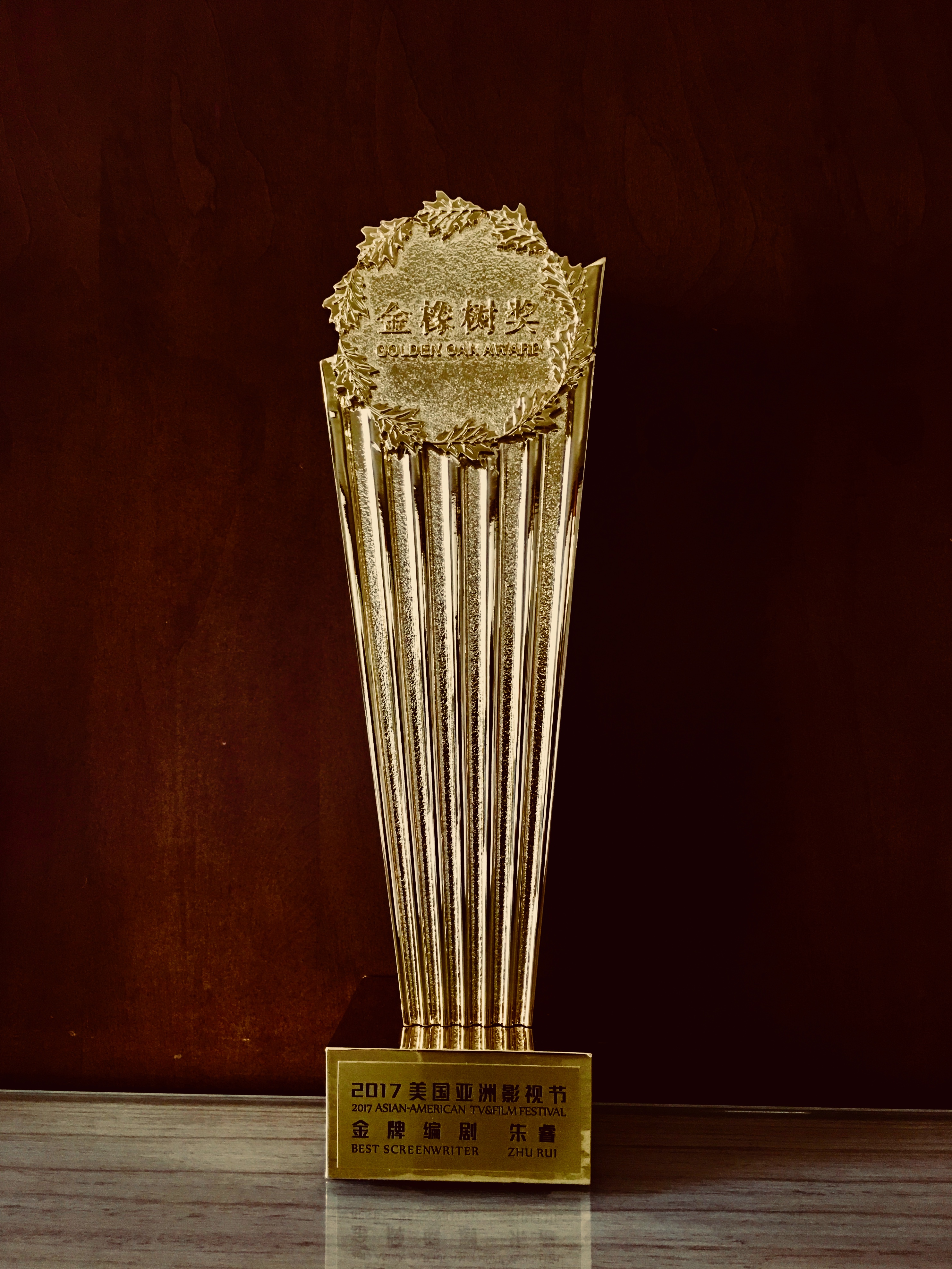 朱睿的写真-美国亚洲影视联盟“金...