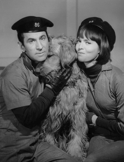 唐·亚当斯的写真