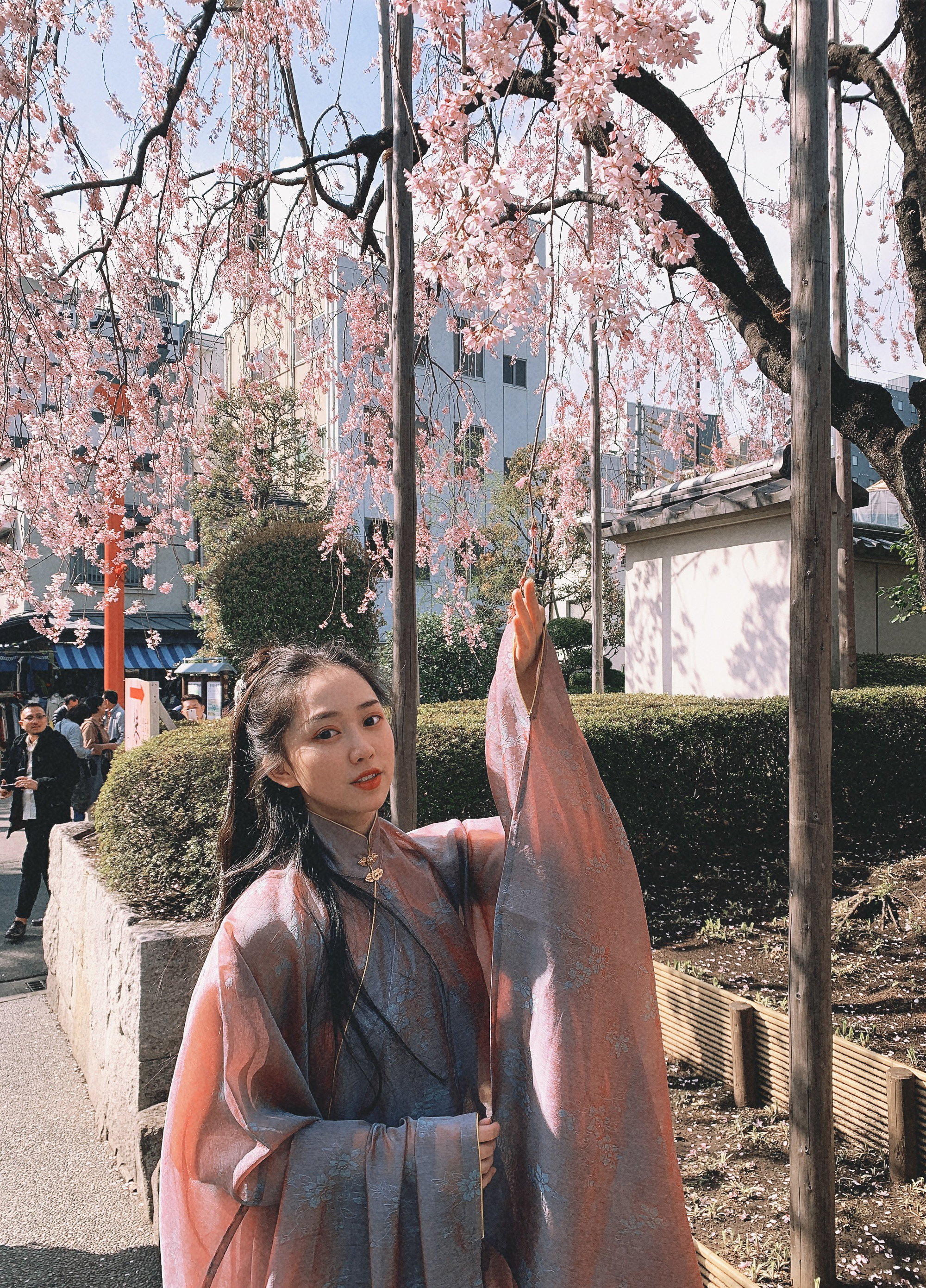 桑砚的写真-桑砚 2019