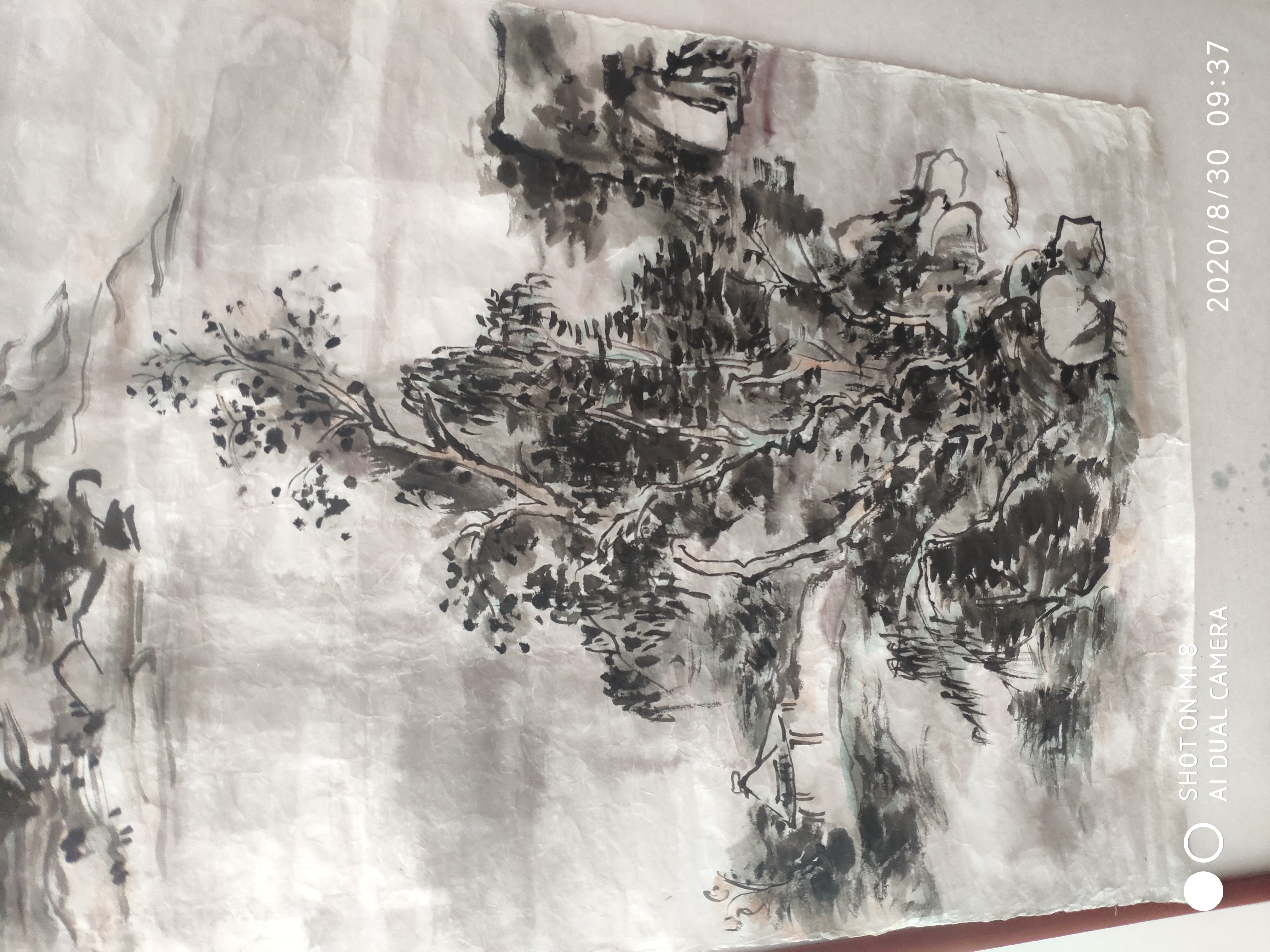 刘大为的写真-山东--诸城  董关富画