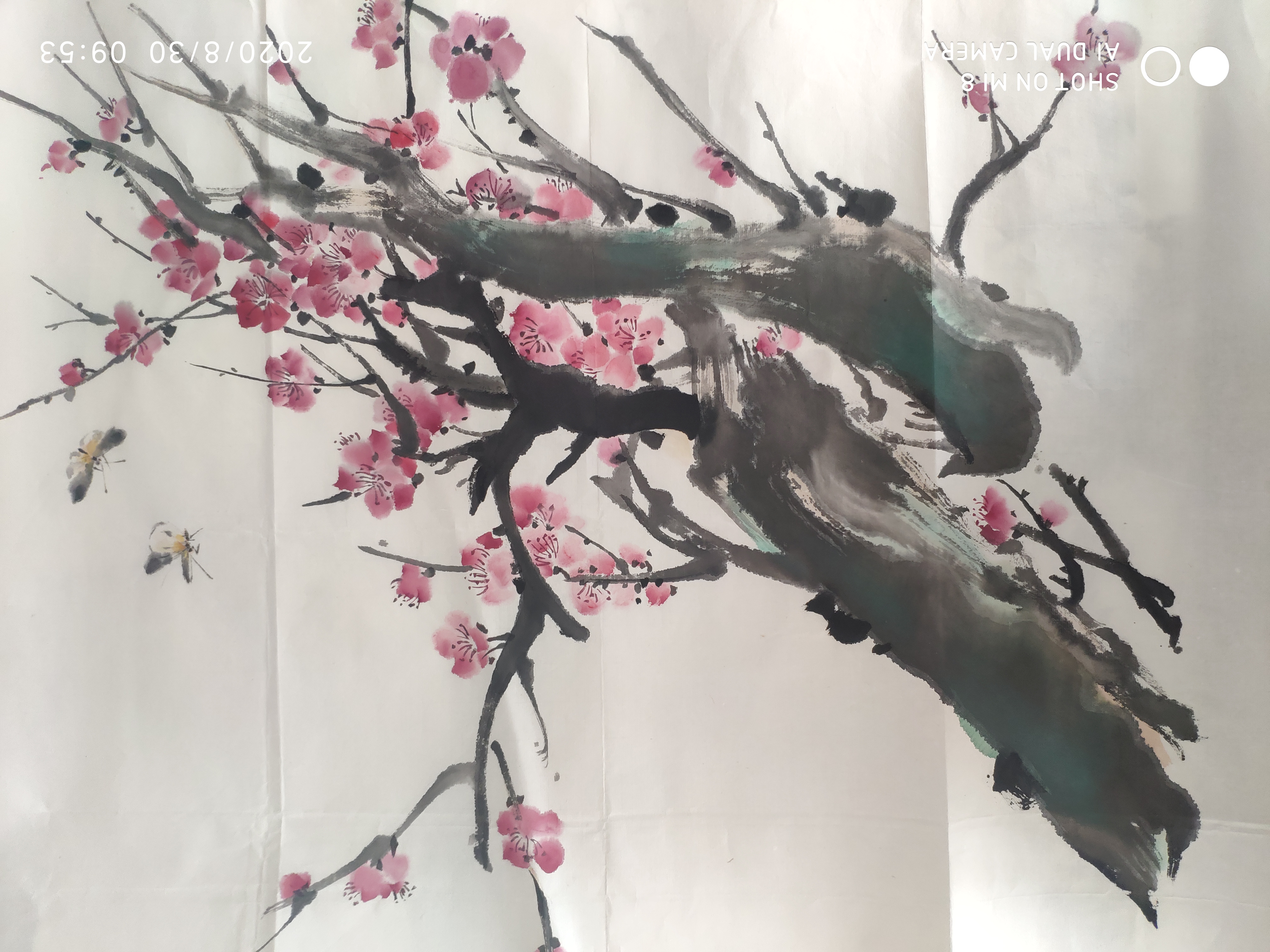 刘大为的写真-山东--诸城  董关富创...