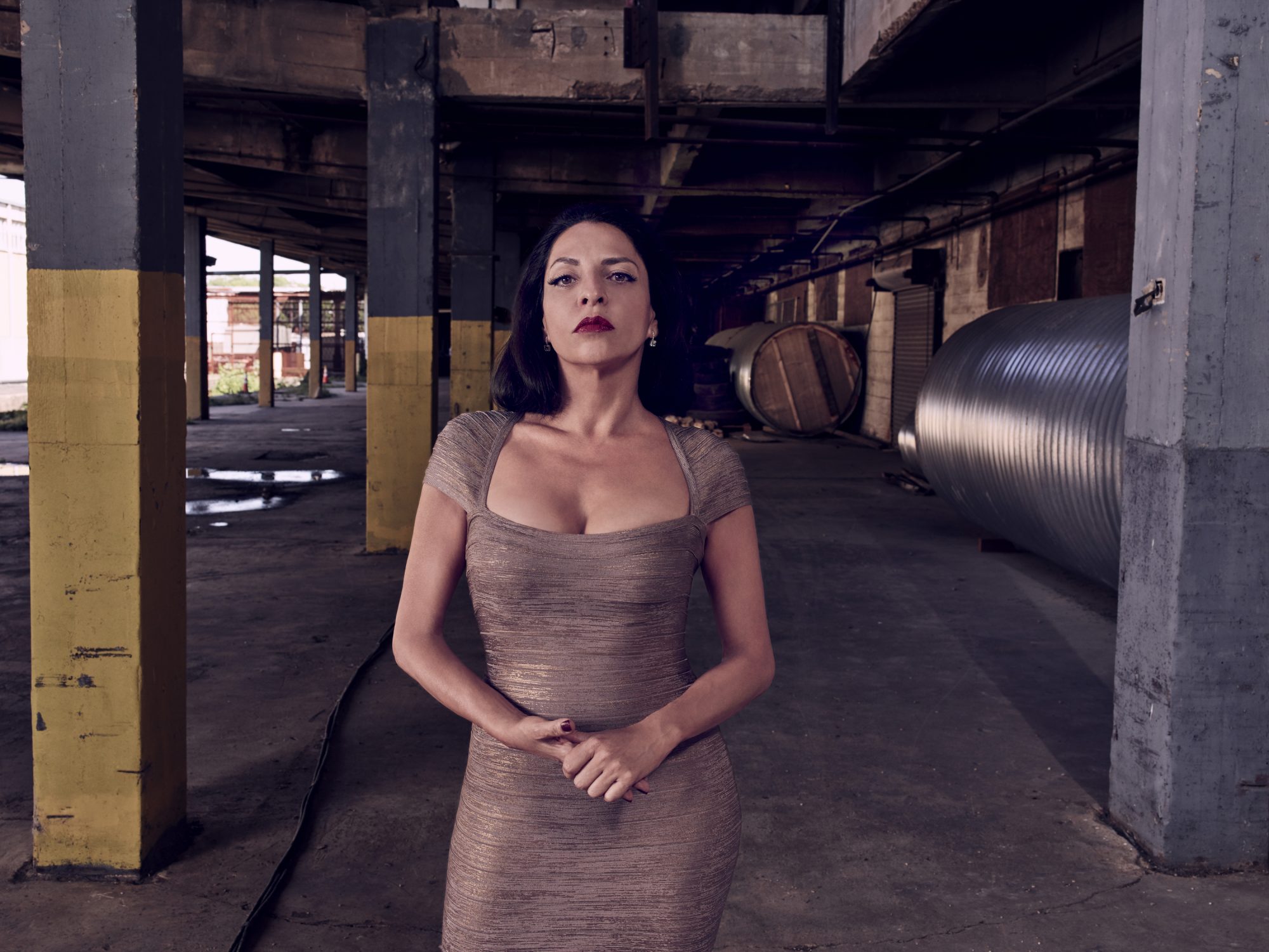 维罗尼卡·法尔孔的写真