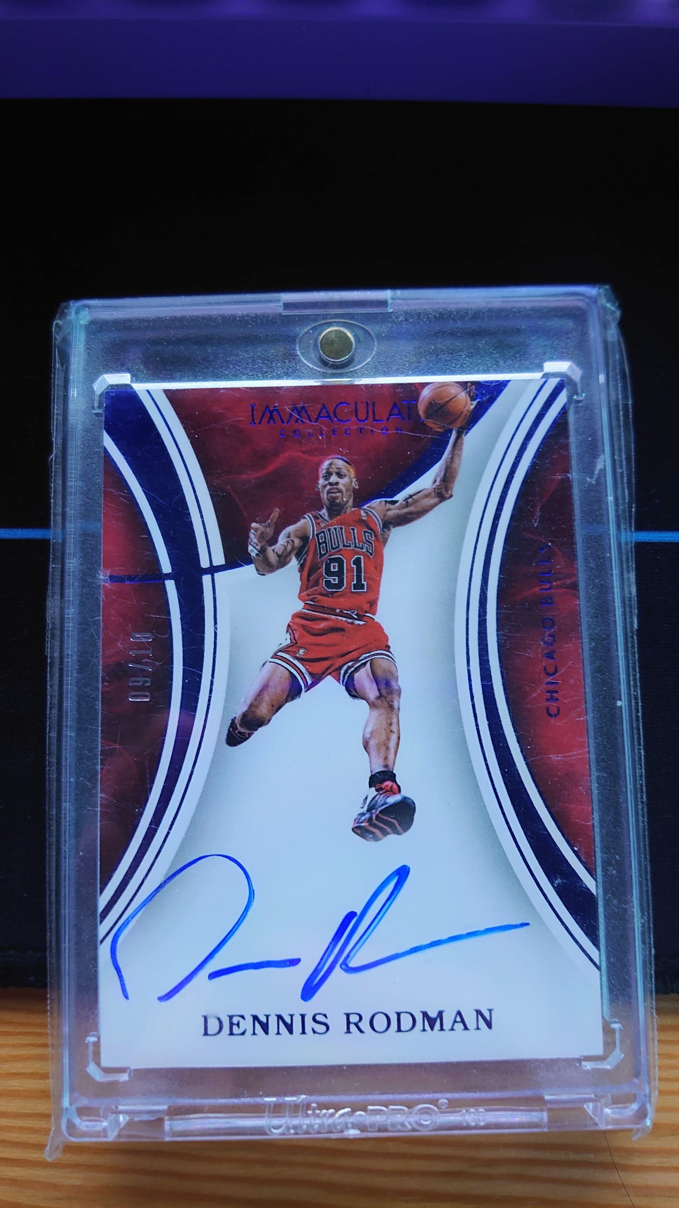 丹尼斯·罗德曼的写真