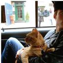 伊恩·萨默海尔德