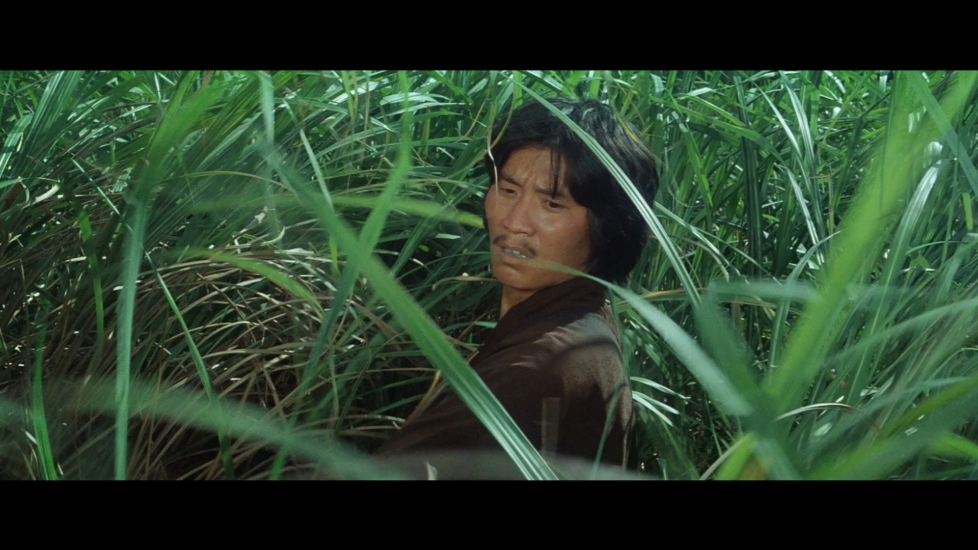 王圻生的写真-《龍少爺》