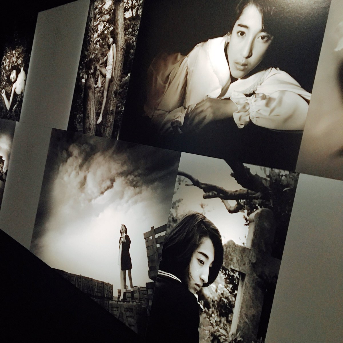 黑田勇树的写真