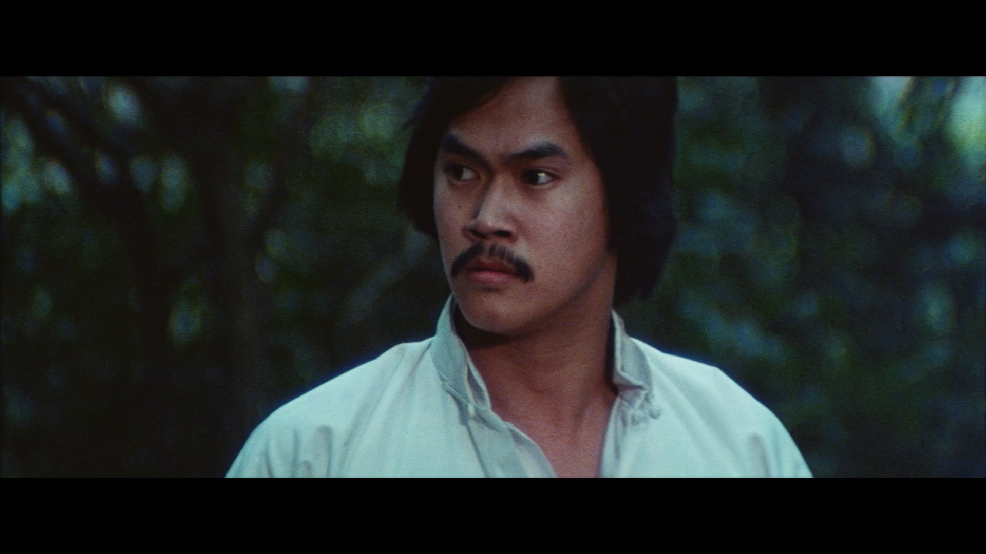 张鸿昌的写真-《四大殘拳 / 四大跛拳...