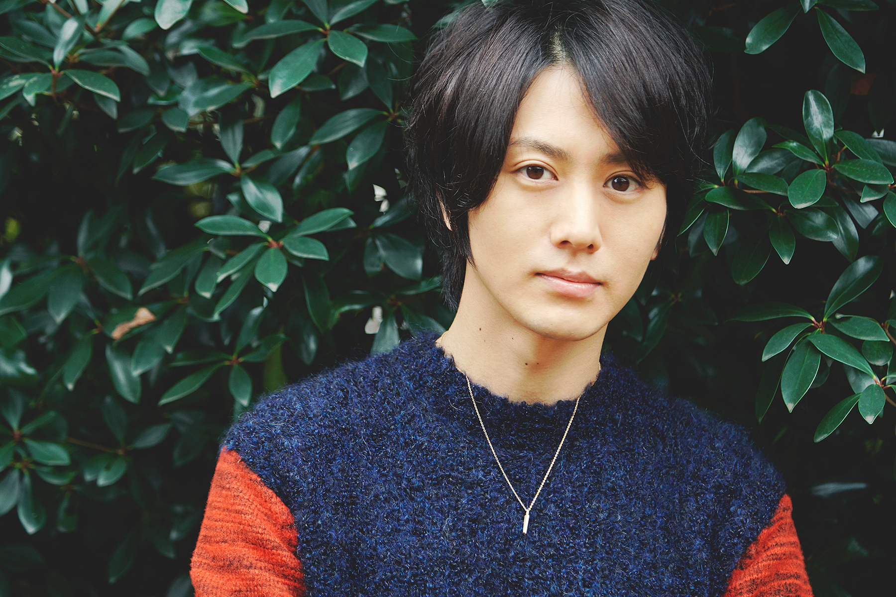 太田基裕的写真