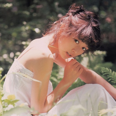 木之内绿的写真