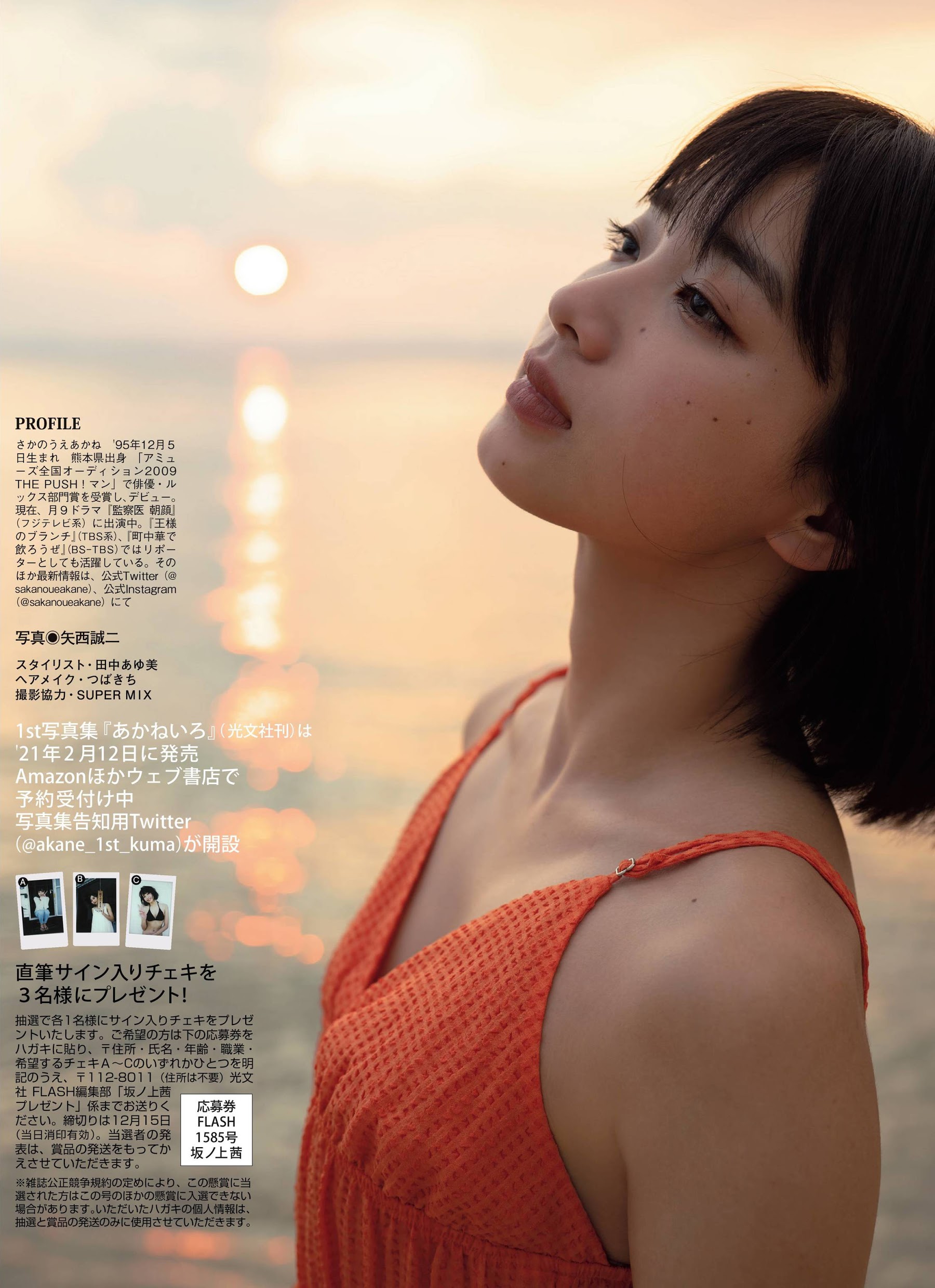 坂ノ上茜的写真