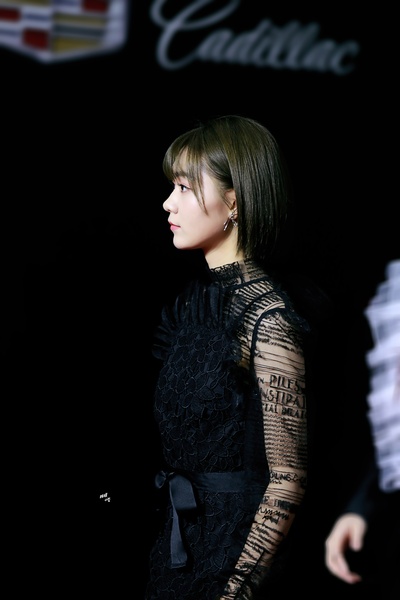 段奥娟的写真-2019微博电影之夜