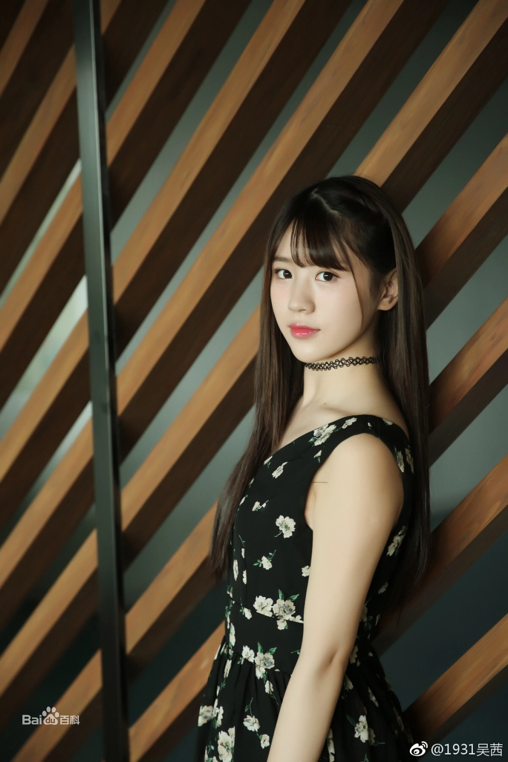 吴茜的写真