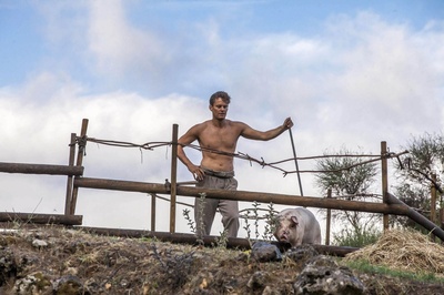 乌尔里希·冯·德尔·泽特的写真-英剧《德雷尔一家》剧...